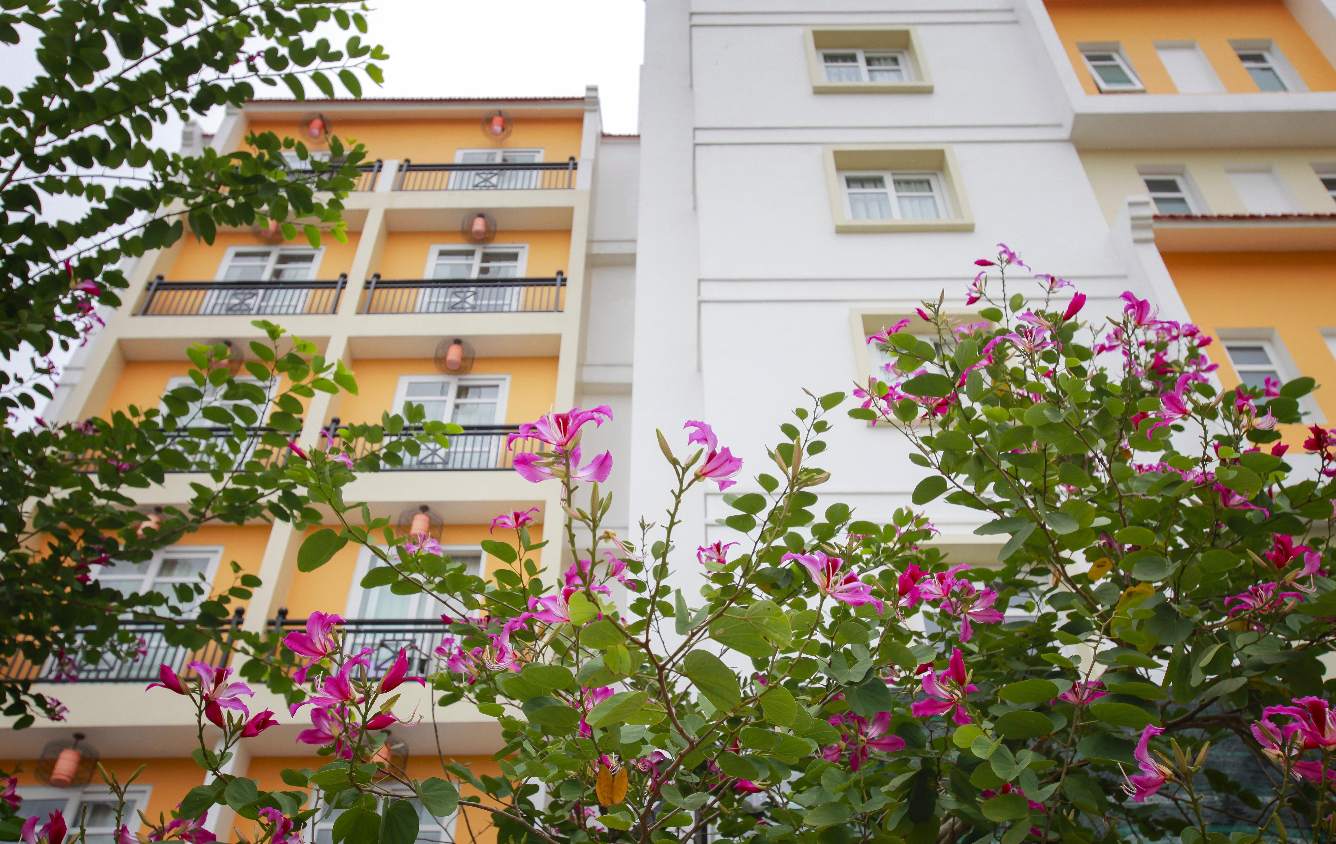 Royal Riverside Hoi An Hotel & Spa Exteriör bild